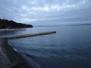 P1030075_medium