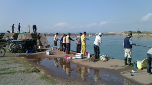 Nec_0440_medium