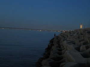 Img_1677_medium_2