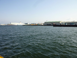 P1030088_medium
