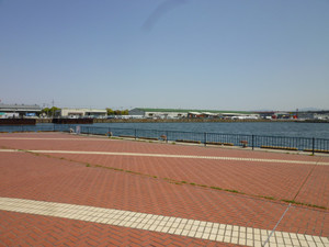 P1030091_medium