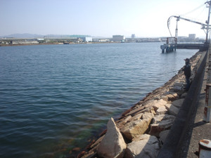 Ca3j2499_large_3