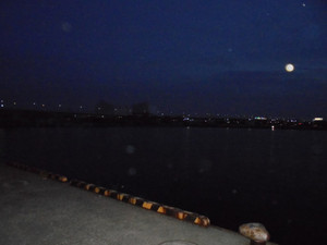Dsc00143_medium