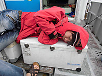 Cimg0514_medium_2