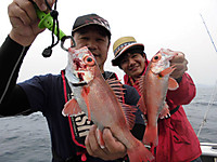 Cimg0519_medium