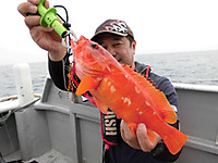 Cimg0527_medium