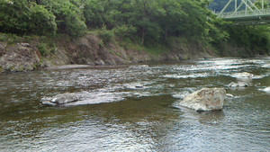 Nec_0470_medium