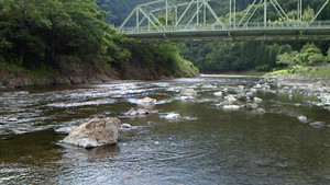 Nec_0471_medium