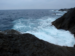 P5162923