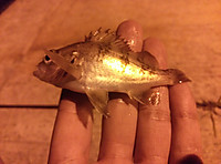 Img00700_2