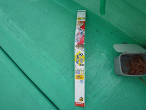 P1030142_medium