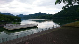 Dsc_0049_1467258427696_4