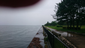 Dsc_0051