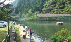 Photo_6