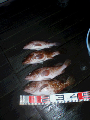 P6293064