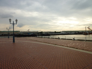 P1030164_medium