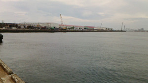 Nec_0491_medium