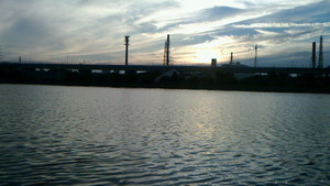Nec_0492_medium