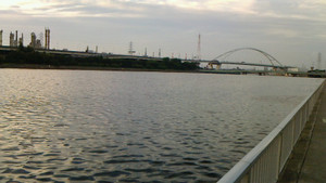 Nec_0493_medium