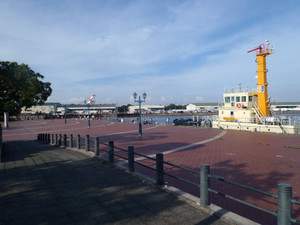 P7100034_medium