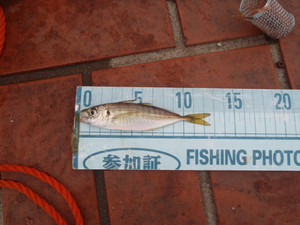 P7130052_medium