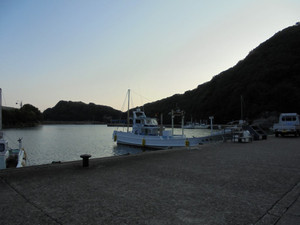 Dsc00282_medium