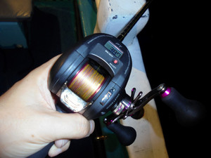 Dsc00287_medium