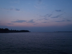 P8150154_medium