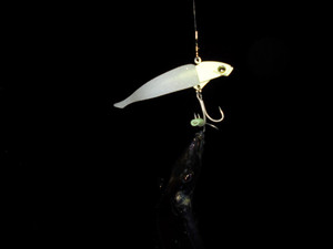Dsc00176_medium