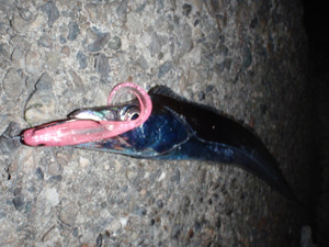 P9023115