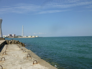 P1030237_medium