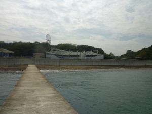 P1030272_medium