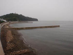 P9283139_large