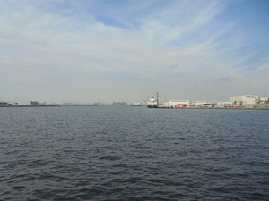 Dsc00192_medium