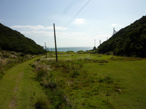 P1030300_medium