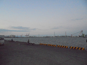 Dsc00209_medium