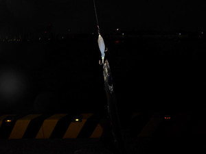 Dsc00211_medium