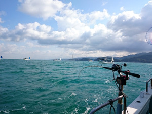 Dsc_0629_large