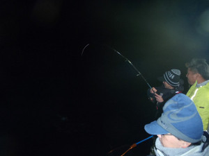 Photo_4
