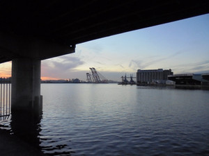 Dsc00218_medium