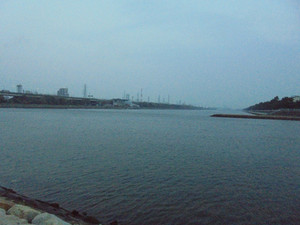 Dsc00221_medium