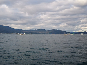 Dsc_0662_large