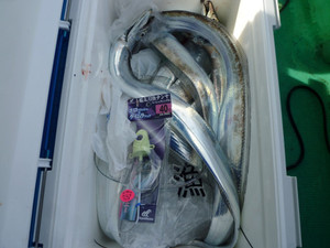 P1030324_medium