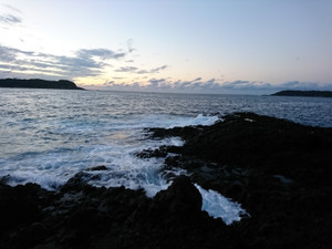 Dsc_0681_large