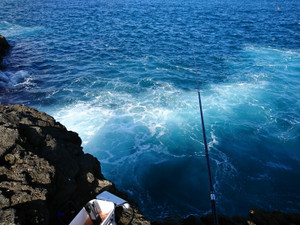 Dsc_0693_large