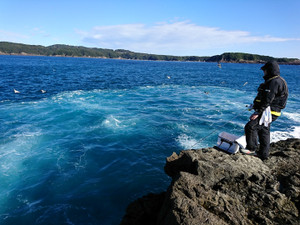 Dsc_0694_large