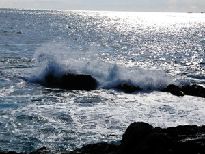 Dsc_0700_large