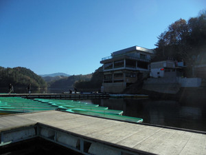 Dsc00350_medium
