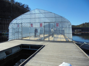 Dsc00351_medium