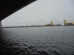Dsc00231_medium